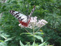 �A�T�M�}�_���B